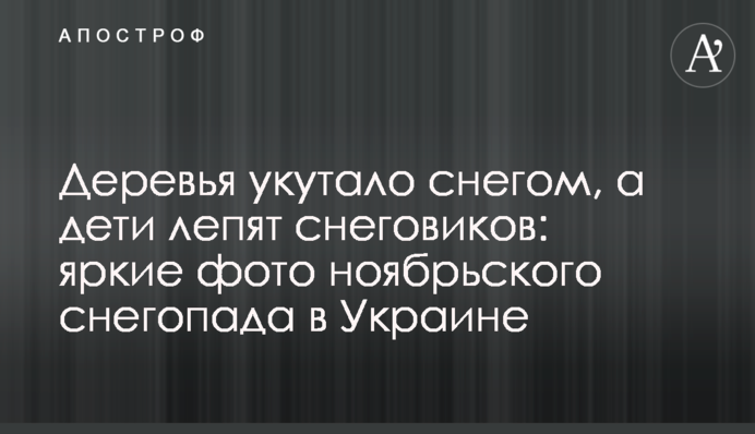 Деревья укутало снегом, а дети лепят снеговиков: яркие фото ноябрьского снегопада в Украине