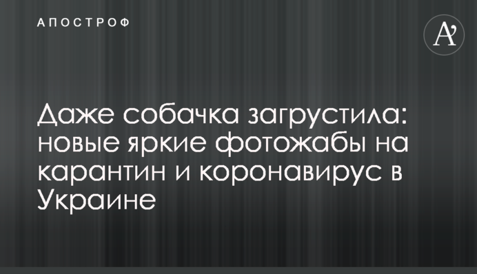 Навіть собачка засумувала: нові яскраві фотожаби на карантин і коронавірус в Україні