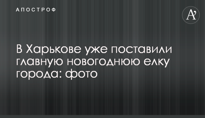 У Харкові вже поставили головну новорічну ялинку міста: фото