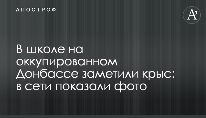 В школе на оккупированном Донбассе заметили крыс: в сети показали фото