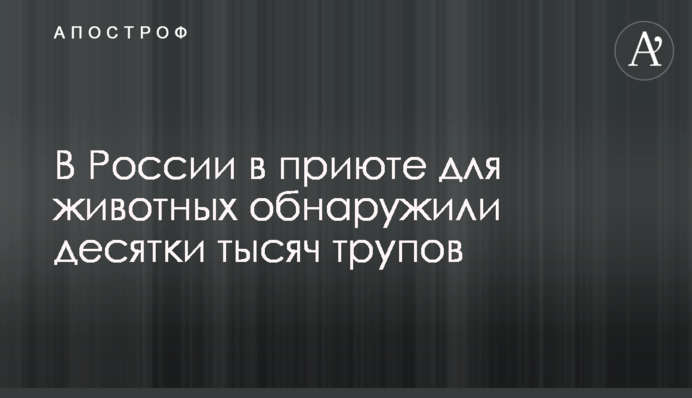 У Росії в притулку для тварин виявили десятки тисяч трупів