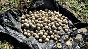 Археологи виявили стародавній скарб, який міг змінити історію: фото