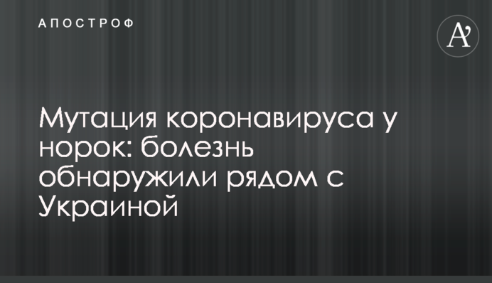 Мутація коронавірусу в норок: хворобу виявили поруч з Україною