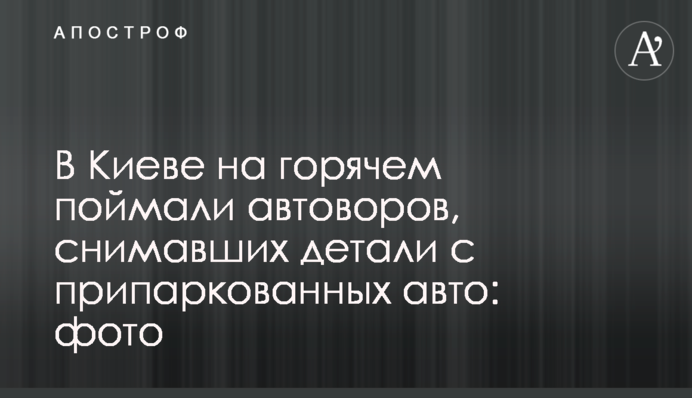 У Києві на гарячому спіймали автокрадіїв, які знімали деталі з припаркованих авто: фото