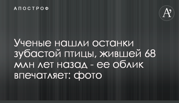 Ученые нашли останки зубастой птицы, жившей 68 млн лет назад - ее облик впечатляет: фото