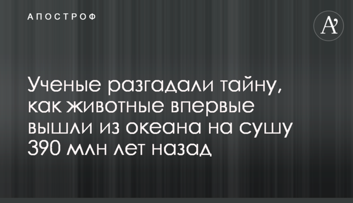 Вчені розгадали таємницю, як тварини вперше вийшли з океану на сушу 390 млн років тому