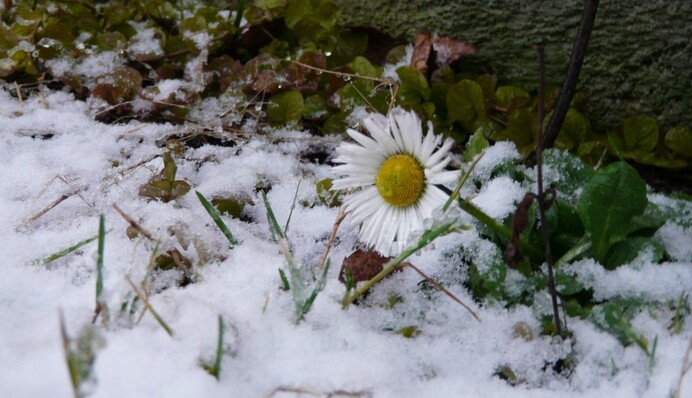 В Украину придет зимнее бабье лето: прогноз народного синоптика до конца года
