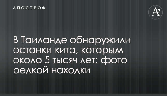 У Таїланді виявили останки кита, яким близько 5 тисяч років: фото рідкісної знахідки