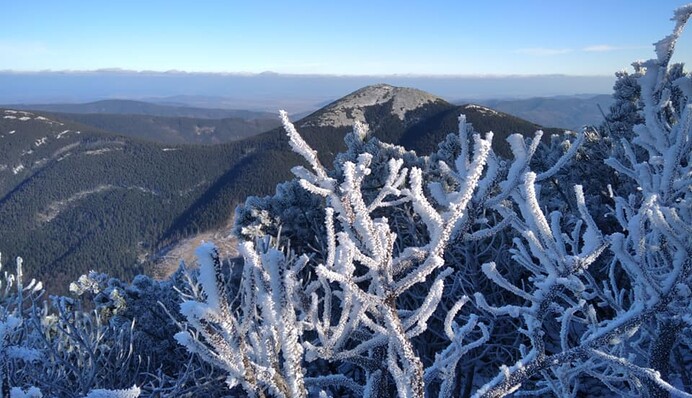 Гори, іній і блакитне небо: з'явилися нові вражаючі фото українських Карпат