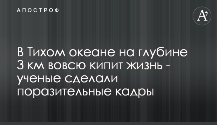В Тихом океане на глубине 3 км вовсю кипит жизнь - ученые сделали поразительные кадры