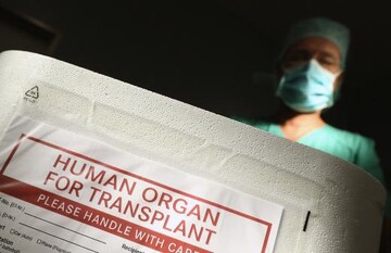 В Стамбуле задержаны торговцы органами, среди них - украинцы