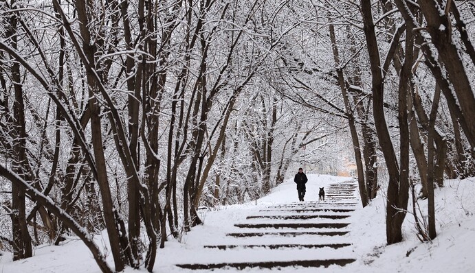 В Украине ударят морозы, начнет снежить: синоптики дали детальный прогноз на начало декабря