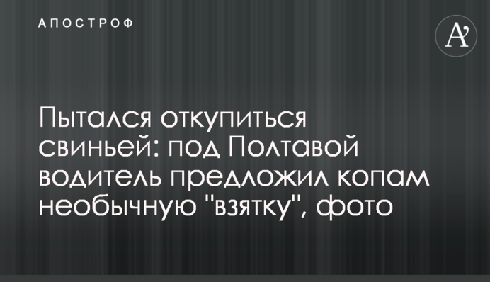 Пытался откупиться свиньей: под Полтавой водитель предложил копам необычную 