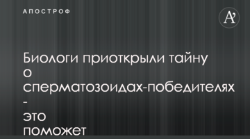 Біологи відкрили таємницю сперматозоїдів-переможців - це допоможе в боротьбі з безпліддям