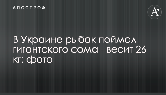 В Україні рибалка зловив гігантського сома - важить 26 кг: фото