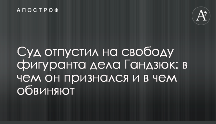 Суд відпустив на свободу фігуранта справи Гандзюк: у чому він зізнався і в чому звинувачують