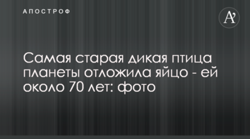 Найстаріша дика птиця планети відклала яйце - їй близько 70 років: фото