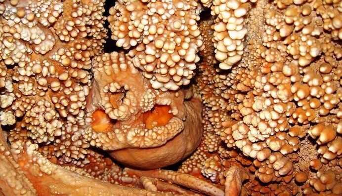 Ученые нашли останки мужчины, жившего 130 тыс. лет назад, и разгадали тайну его смерти: фото