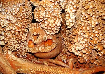 Вчені знайшли останки чоловіка, який жив 130 тис. років тому, і розгадали таємницю його смерті: фото