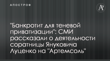 "Банкротит для теневой приватизации": СМИ рассказали о деятельности соратницы Януковича Луценко на "Артемсоль"