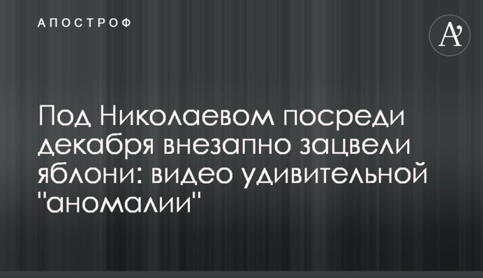 Под Николаевом посреди декабря внезапно зацвели яблони: видео удивительной 