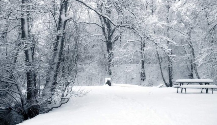 В Украину идет серьезное потепление: синоптик назвал дату, когда морозы отступят