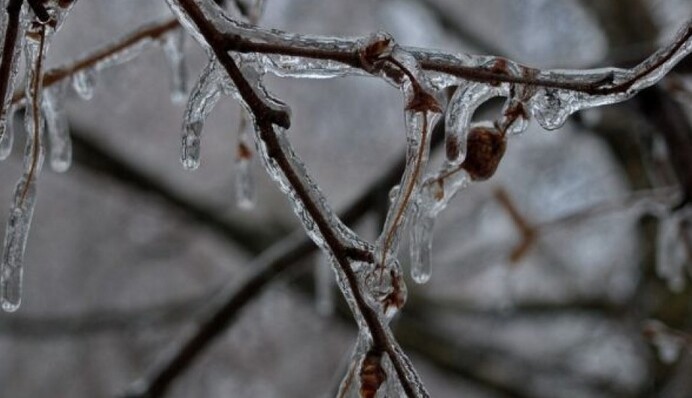 Украину атакуют ледяные дожди и штормовой ветер: синоптик дала прогноз до конца недели