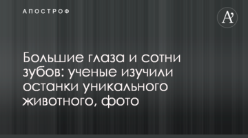 Великі очі і сотні зубів: вчені дослідили останки унікальної тварини, фото
