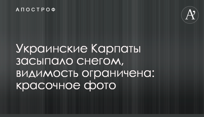 Українські Карпати засипало снігом, видимість обмежена: барвисте фото