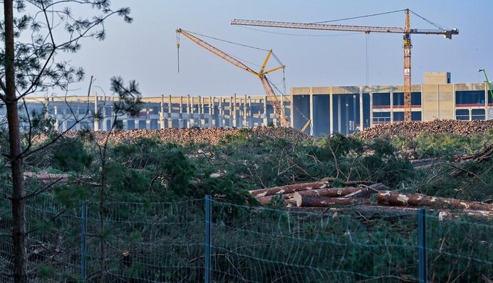 Tesla остановила строительство в Германии: мешают змеи