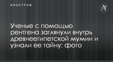 Вчені за допомогою рентгена заглянули всередину давньоєгипетської мумії і дізналися її таємницю: фото