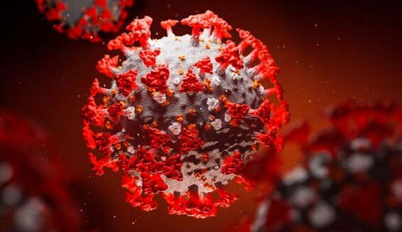 В Британии обнаружили новую мутацию Covid-19 - число случаев быстро растет: названы симптомы