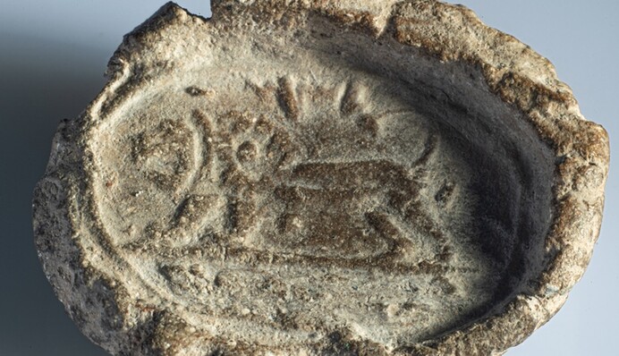 Куплена на ринку 