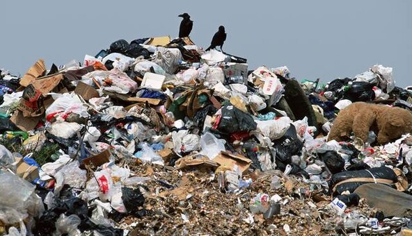 Є кілька опцій: українцям розповіли, як боротися з незаконними сміттєзвалищами