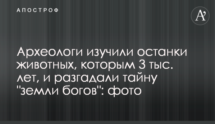 Археологи изучили останки животных, которым 3 тыс. лет, и разгадали тайну 