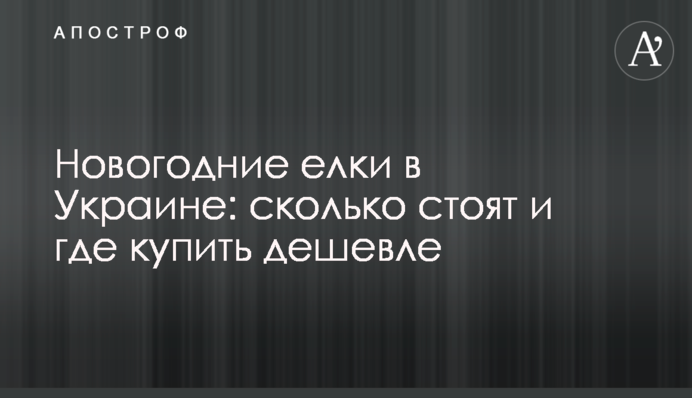 Новогодние елки в Украине: сколько стоят и где купить дешевле