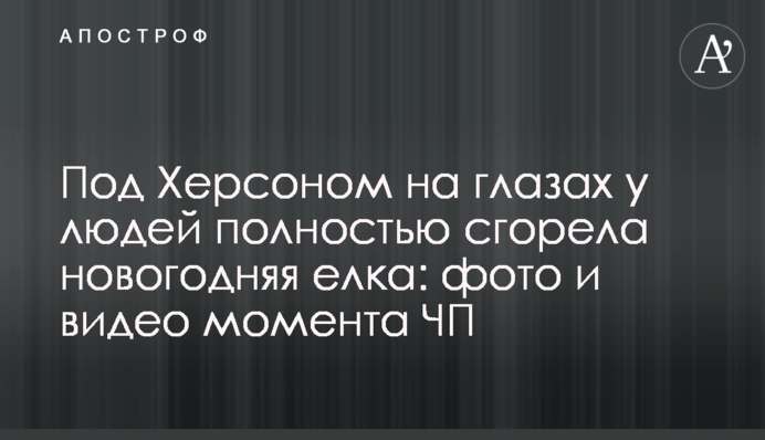 Под Херсоном на глазах у людей полностью сгорела новогодняя елка: фото и видео момента ЧП