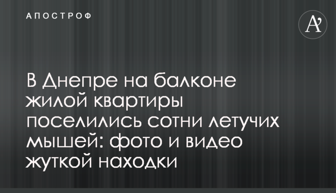 В Днепре на балконе жилой квартиры поселились сотни летучих мышей: фото и видео жуткой находки