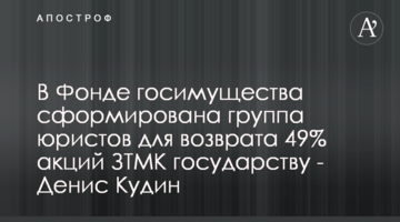 В Фонде госимущества сформирована группа юристов для возврата 49% акций ЗТМК государству - Денис Кудин
