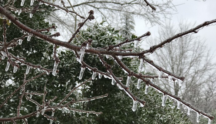 На Киев идет ледяной дождь: синоптики и ГСЧС предупредили водителей
