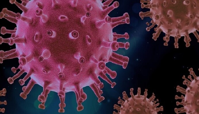 Обнаружен новый 