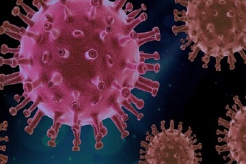 Обнаружен новый "африканский" штамм коронавируса: что известно