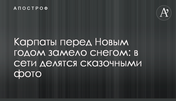 Карпати перед Новим роком замело снігом: в мережі діляться казковими фото