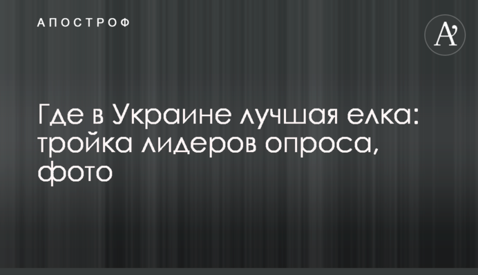 Де в Україні краща ялинка: трійка лідерів опитування, фото