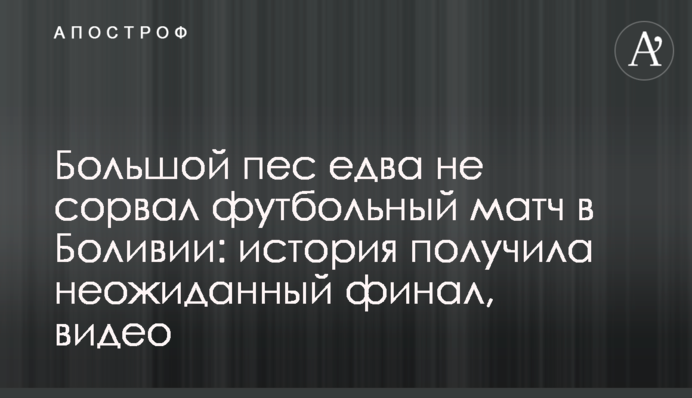 Большой пес едва не сорвал футбольный матч в Боливии: история получила неожиданный финал, видео