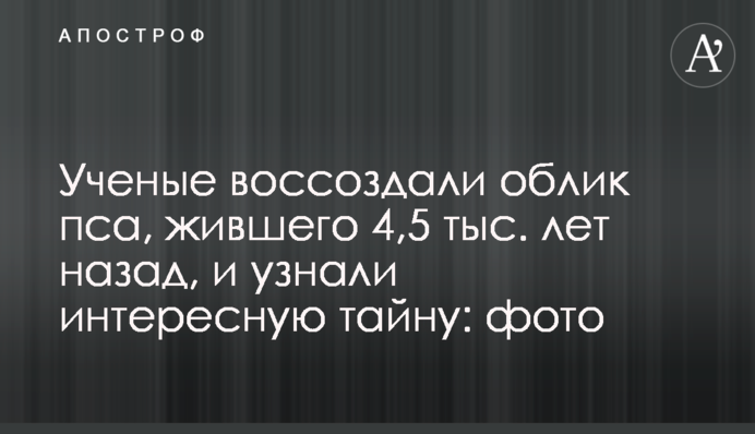 Ученые воссоздали облик пса, жившего 4,5 тыс. лет назад, и узнали интересную тайну: фото