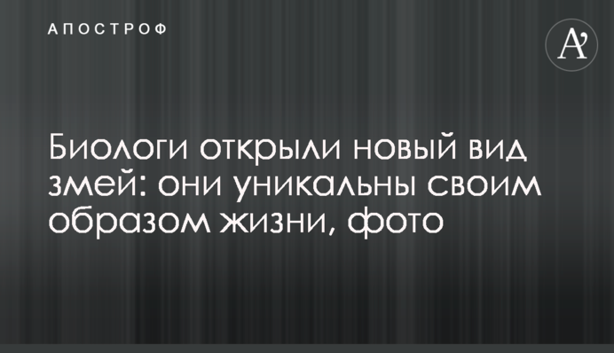 Биологи открыли новый вид змей: они уникальны своим образом жизни, фото