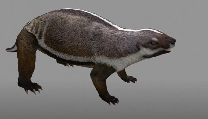 Вчені відтворили вигляд 