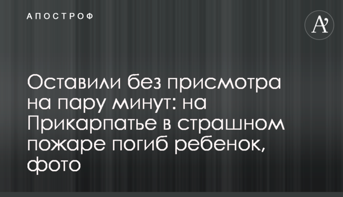 Залишили без нагляду на пару хвилин: на Прикарпатті у страшній пожежі загинула дитина, фото