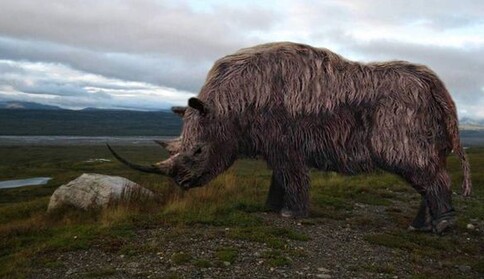 В Сибири нашли 